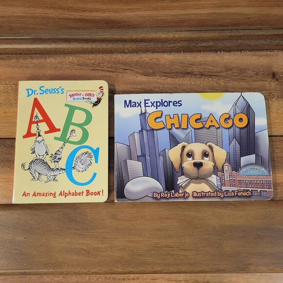 GOODNIGHT Board Books- Beach,Pirate Ship,Florida,Florida Keys,Arizona, Chicago - Picture 8 of 10